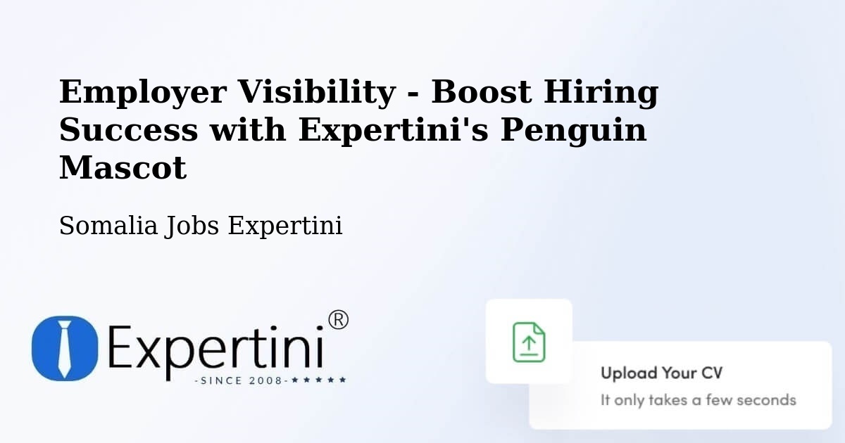 CV and Resume Visibility Optimization – Burao - Somalia Jobs Expertini